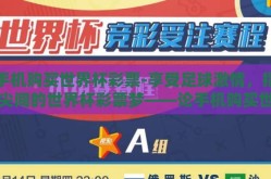 手机购买世界杯彩票-享受足球激情，指尖间的世界杯彩票梦——论手机购买世界杯彩票的便利与挑战
