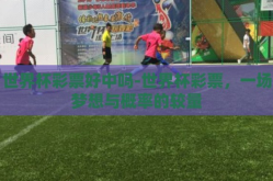 世界杯彩票好中吗-世界杯彩票，一场梦想与概率的较量