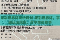 足彩世界杯玩法规则-足彩世界杯，掌握玩法规则，尽享精彩赛事