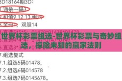 世界杯彩票组选-世界杯彩票与奇妙组选，探险未知的赢家法则