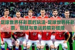 足球世界杯彩票的玩法-足球世界杯彩票，智慧与幸运的精彩碰撞
