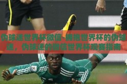 伪球迷世界杯微信-拥抱世界杯的伪球迷，伪球迷的微信世界杯观赛指南