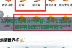 支付宝可以投注世界杯-支付宝新玩法，世界杯投注的智慧与激情