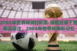 2002年世界杯体∏彩票-绿茵狂潮下的幸运投注，2002年世界杯体彩记忆
