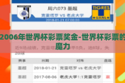 2006年世界杯彩票奖金-世界杯彩票的魔力