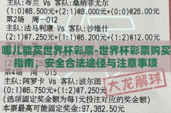 哪儿能买世界杯彩票-世界杯彩票购买指南，安全合法途径与注意事项