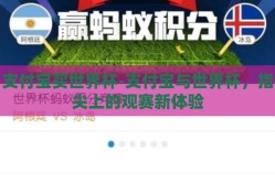 支付宝买世界杯-支付宝与世界杯，指尖上的观赛新体验