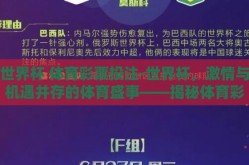 世界杯 体育彩票投注-世界杯，激情与机遇并存的体育盛事——揭秘体育彩票投注的乐趣与策略