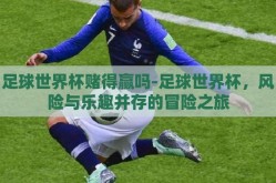 足球世界杯赌得赢吗-足球世界杯，风险与乐趣并存的冒险之旅