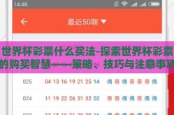 世界杯彩票什么买法-探索世界杯彩票的购买智慧——策略、技巧与注意事项
