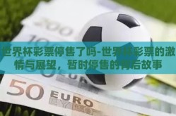 世界杯彩票停售了吗-世界杯彩票的激情与展望，暂时停售的背后故事