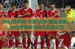 2002世界杯 彩票 说明-重返绿茵，2002世界杯与时代彩票记忆
