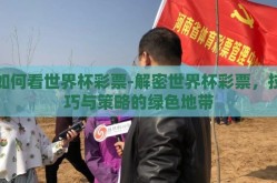 如何看世界杯彩票-解密世界杯彩票，技巧与策略的绿色地带