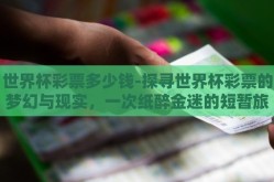 世界杯彩票多少钱-探寻世界杯彩票的梦幻与现实，一次纸醉金迷的短暂旅程