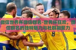 微信世界杯微信群名-世界杯狂欢，微信群名的独特魅力与社群凝聚力