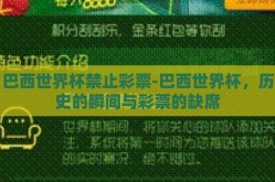 巴西世界杯禁止彩票-巴西世界杯，历史的瞬间与彩票的缺席