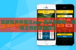足球世界杯压注app-足球世界杯，赛场之外的激情投注