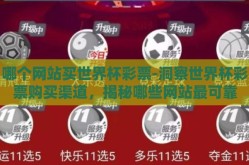 哪个网站买世界杯彩票-洞察世界杯彩票购买渠道，揭秘哪些网站最可靠