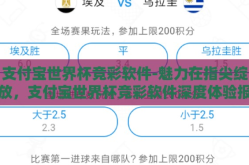 支付宝世界杯竞彩软件-魅力在指尖绽放，支付宝世界杯竞彩软件深度体验报告