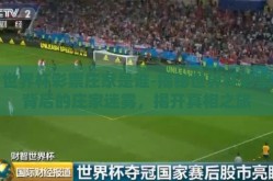 世界杯彩票庄家是谁-揭秘世界杯彩票背后的庄家迷雾，揭开真相之旅