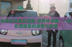 世界杯决赛彩票图-世界杯决赛，一张彩票图里的激情与梦想