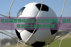 怎样赌世界杯足球-足球世界杯，理性观赏之上的另类视角