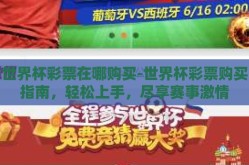 世界杯彩票在哪购买-世界杯彩票购买指南，轻松上手，尽享赛事激情