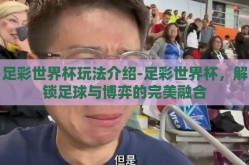 足彩世界杯玩法介绍-足彩世界杯，解锁足球与博弈的完美融合