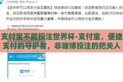 支付宝不能投注世界杯-支付宝，便捷支付的守护者，非赌博投注的把关人