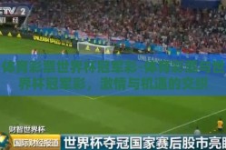 体育彩票世界杯冠军彩-体育彩票与世界杯冠军彩，激情与机遇的交织