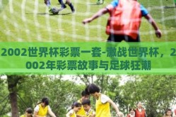 2002世界杯彩票一套-激战世界杯，2002年彩票故事与足球狂潮