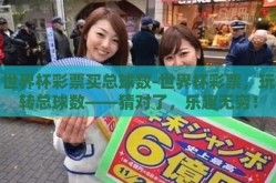 世界杯彩票买总球数-世界杯彩票，玩转总球数——猜对了，乐趣无穷！