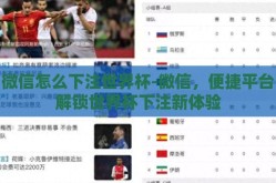 微信怎么下注世界杯-微信，便捷平台解锁世界杯下注新体验