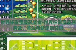 世界杯彩票最高奖金-世界杯彩票最高奖金，幸运与梦想的交织