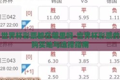 世界杯彩票都在哪里吗-世界杯彩票的购买地与选择指南