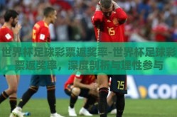 世界杯足球彩票返奖率-世界杯足球彩票返奖率，深度剖析与理性参与