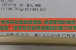 世界杯彩票单场倍投-追逐梦想的加倍征程，世界杯彩票单场倍投的魅力与风险
