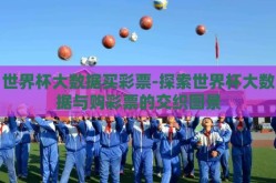 世界杯大数据买彩票-探索世界杯大数据与购彩票的交织图景