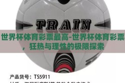 世界杯体育彩票最高-世界杯体育彩票，狂热与理性的极限探索