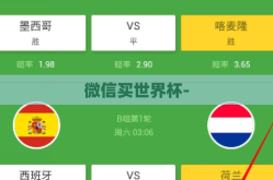 微信买世界杯-