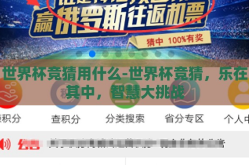 世界杯竞猜用什么-世界杯竞猜，乐在其中，智慧大挑战