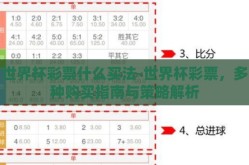 世界杯彩票什么买法-世界杯彩票，多种购买指南与策略解析