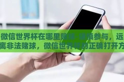 微信世界杯在哪里赌球-谨慎参与，远离非法赌球，微信世界杯的正确打开方式
