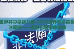 世界杯彩票买几倍-2023世界杯彩票投注策略——理性与野望的碰撞