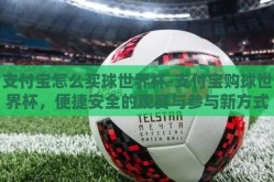支付宝怎么买球世界杯-支付宝购球世界杯，便捷安全的观赛与参与新方式