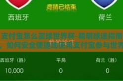 支付宝怎么买球世界杯-精明球迷指南，如何安全便捷地使用支付宝参与世界杯竞猜