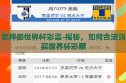 怎样买世界杯彩票-揭秘，如何合法购买世界杯彩票
