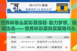世界杯怎么买彩票保稳-助力梦想，稳健出击——世界杯彩票购买策略与心得分享