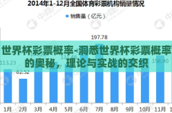 世界杯彩票概率-洞悉世界杯彩票概率的奥秘，理论与实战的交织