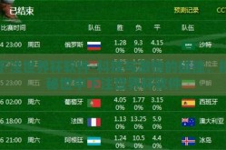 下注世界杯软件-科技与激情的碰撞，揭秘世中下注世界杯软件